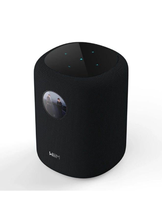 WiiM Sound – Smart Speaker - Image 1